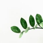 Galaxy Note Series Smartphone - Image 3